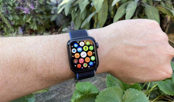 Apple Watch SE là gì? 
